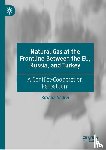 Andrei, Roxana - Natural Gas at the Frontline Between the EU, Russia, and Turkey