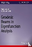 Canzani, Yaiza, Galkowski, Jeffrey - Geodesic Beams in Eigenfunction Analysis