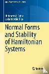 Cabral, Hildeberto E., Brandao Dias, Lucia - Normal Forms and Stability of Hamiltonian Systems