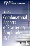 Parisi, Matteo - Combinatorial Aspects of Scattering Amplitudes