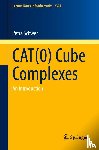 Schwer, Petra - CAT(0) Cube Complexes