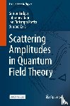 Badger, Simon, Henn, Johannes, Plefka, Jan Christoph, Zoia, Simone - Scattering Amplitudes in Quantum Field Theory