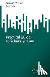 Lutz, Fabian - Practical Guide to Schengen Law