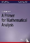 Borthwick, David - A Primer for Mathematical Analysis