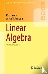 Liesen, Jorg, Mehrmann, Volker - Linear Algebra