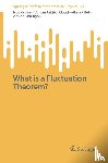 Cuneo, Noé, Jak¿i¿, Vojkan, Pillet, Claude-Alain, Shirikyan, Armen - What is a Fluctuation Theorem?