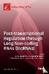 LADOMERY, MICHAEL R - Post-transcriptional Regulation through Long Noncoding RNAs (lncRNAs)