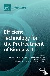 FERRER, IVET - Efficient Technology for the Pretreatment of Biomass II