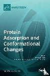 Assfalg, Michael - Protein Adsorption and Conformational Changes