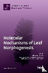 Koyama, Tomotsugu Koyama - Molecular Mechanisms of Leaf Morphogenesis