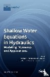 I. DELIS, ANARGIROS - Shallow Water Equations in Hydraulics