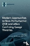 Antonov, Dmitry - Modern Approaches to Non-Perturbative QCD and other Confining Gauge Theories