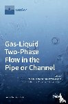 PAKHOMOV, MAKSIM - Gas-Liquid Two-Phase Flow in the Pipe or Channel