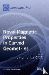 BRAN, CRISTINA - Novel Magnetic Properties in Curved Geometries