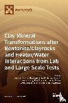  - Clay Mineral Transformations after Bentonite/Clayrocks and Heater/Water Interactions from Lab and Large-Scale Tests