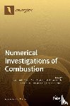  - Numerical Investigations of Combustion