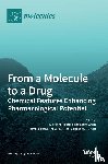 Ribaudo, Giovanni - From a Molecule to a Drug