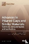 Bravo, Antonio Gil - Advances in Pillared Clays and Similar Materials