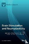 Palm, Ulrich - Brain Stimulation and Neuroplasticity