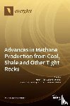  - Advances in Methane Production from Coal, Shale and Other Tight Rocks