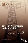 Křivý, Vít - Corrosion Properties and Mechanism of Steels