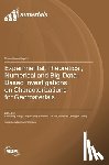 Wang, Shaofeng - Experimental, Theoretical, Numerical and Big-Data-Based Investigations on Characterizations for Geomaterials