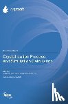 Chen, Mingyang - Crystallization Process and Simulation Calculation