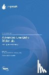 Liu, Rui - Advanced Energetic Materials