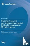 Wei, Kai - Damage Diagnosis and Safety Assessment of Bridge Structures under Multiple Hazards