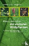 Fleischhauer, Steffen Guido - Kleine Enzyklopädie der essbaren Wildpflanzen
