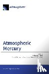 Talbot, Robert W. - Atmospheric Mercury