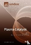Bogaerts, Annemie - Plasma Catalysis