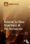 CHRISTINE V. PUTNIS - Mineral Surface Reactions at the Nanoscale