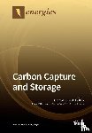 JOS MAGALH ES PIRES - Carbon Capture and Storage