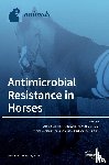 Steinman, Amir - Antimicrobial Resistance in Horses