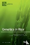 Ichitani, Katsuyuki - Genetics in Rice