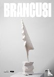  - Brancusi
