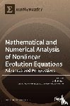 Bianca, Carlo - Mathematical and Numerical Analysis of Nonlinear Evolution Equations