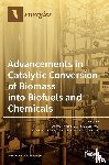 TAE, HYUN KIM - Advancements in Catalytic Conversion of Biomass into Biofuels and Chemicals