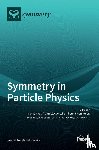 Hnatič, Michal - Symmetry in Particle Physics