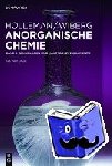 Wiberg, Egon, Wiberg, Nils, Holleman, Arnold F. - Anorganische Chemie 1 - Grundlagen und Hauptgruppenelemente