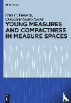 Godet-Thobie, Christiane, Florescu, Liviu C. - Young Measures and Compactness in Measure Spaces