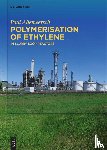 Allemeersch, Paul - Polymerisation of Ethylene