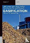 Silva, Valter Bruno, Cardoso, Joao, Chavando, Antonio - Gasification