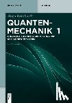 Reinhardt, Hugo - Funktionalintegralformulierung und Operatorformalismus