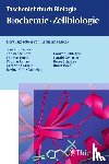  - Taschenlehrbuch Biologie: Biochemie - Zellbiologie