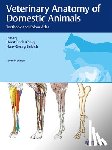  - Veterinary Anatomy of Domestic Animals
