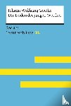 Leis, Mario - Die Leiden des jungen Werther von Johann Wolfgang Goethe: Lektüreschlüssel mit Inhaltsangabe, Interpretation, Prüfungsaufgaben mit Lösungen, Lernglossar. (Reclam Lektüreschlüssel XL)