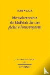 Weller, Silke - Menschenrechte als Maßstab für das globale Steuersystem