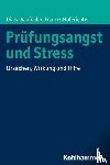 Raufelder, Diana, Hoferichter, Frances - Prüfungsangst und Stress